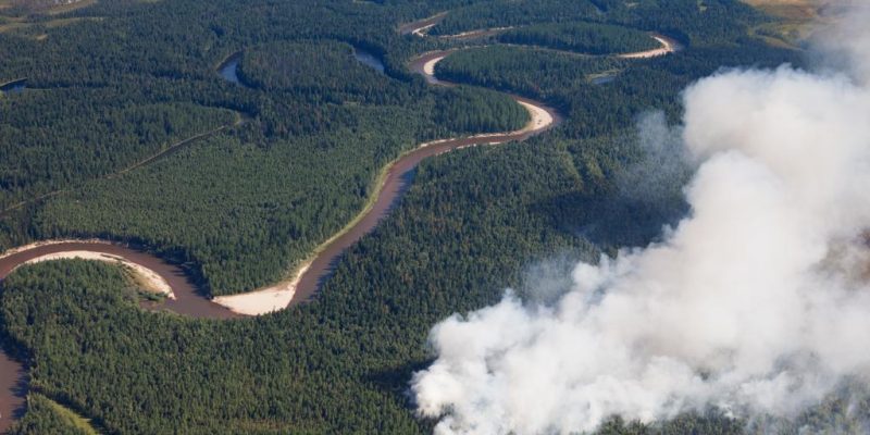 Aerial,View,Of,Wildfire,In,Forest